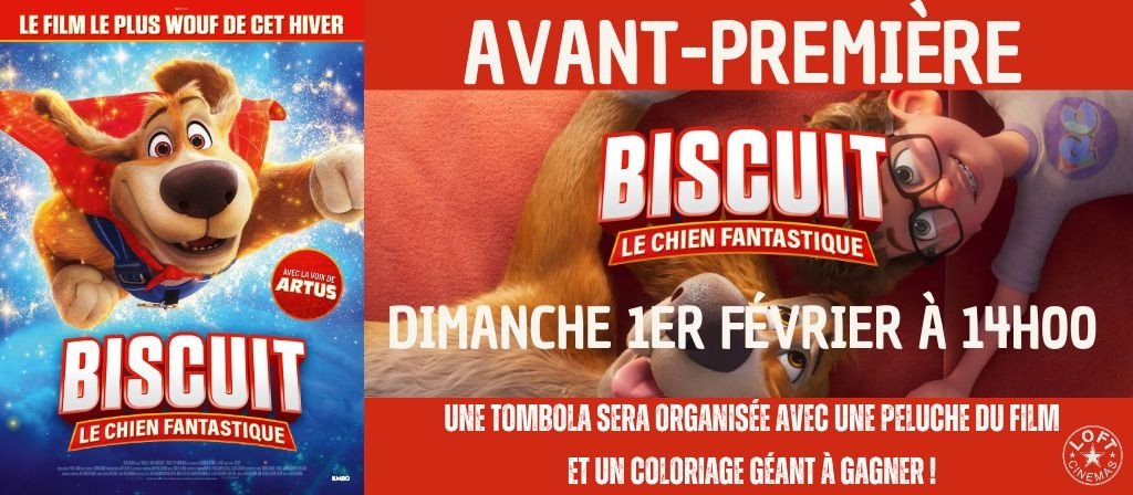 actualité AVP BISCUIT