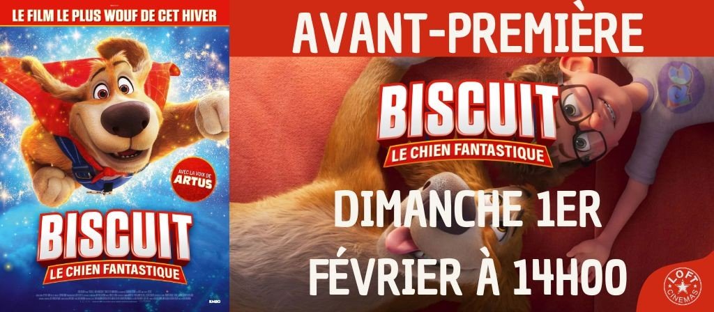 actualité AVP BISCUIT