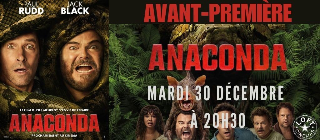 actualité AVP ANACONDA