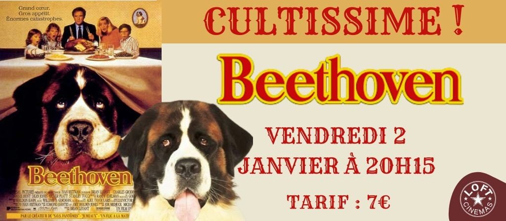actualité CULTISSIME BEETHOVEN